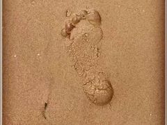 -北戴河圣蓝海洋公园