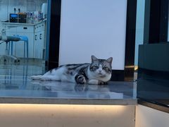 -贝康宠物医院·犬猫全科·小动物特色诊疗中心(东环路店)