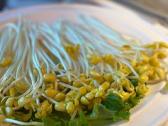豆芽-晓宇重庆火锅(赛格国际购物中心店)