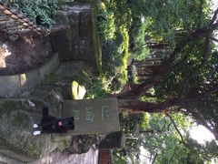 iphone_upload_pic-佛图关公园