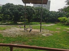 -深圳野生动物园