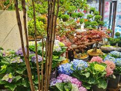 -宝鸡东道花鸟鱼虫市场(吉利花园商场店)