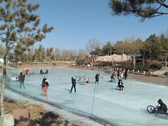 -通辽森林公园