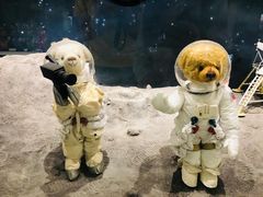 -济州岛泰迪熊博物馆