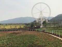 -望天湖