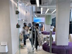 -怪兽屋·羊驼·猫咖·狗咖(俊华广场店)