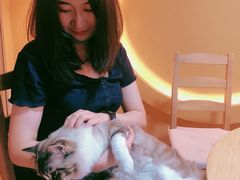 -白兔子密室(长寿路店)