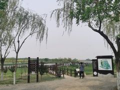 -西青郊野公园