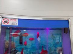 -雅悦齿科(顾村公园店)