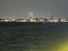 -金鸡湖景区