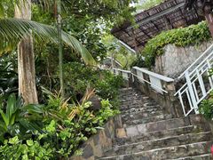 -卷心菜和避孕套餐厅(Pattaya)