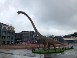 -恐龙探索乐园(磁器口店)