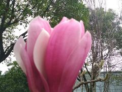 -杭州城北体育公园