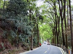 -缙云山景区