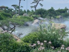 -罗红摄影艺术馆