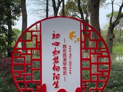 -西溪国家湿地公园