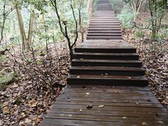 -潜山国家森林公园