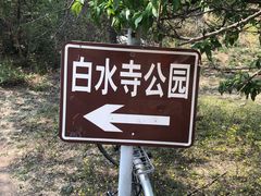 -白水寺森林公园