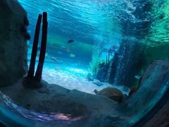 -沈阳海洋探索中心