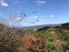 -天女山森林公园