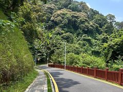 -黄埔油麻山森林公园