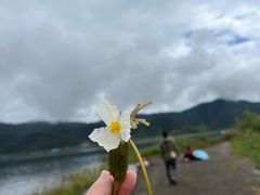 -丽江泸沽湖景区