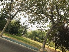 -南京航空航天大学(将军路校区)