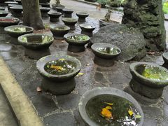 -海口火山口国家地质公园