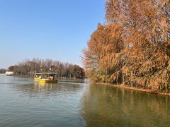 -上海海湾国家森林公园