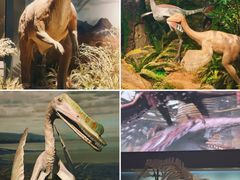 -贝林大翅鲸简餐厅(国家海洋博物馆店)