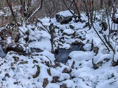 -安吉龙王山风景区