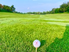 -万柳高尔夫俱乐部