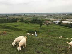 -恋山坝上草原