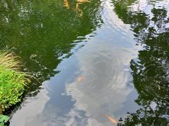 -海口火山口国家地质公园