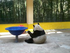 -杭州野生动物世界