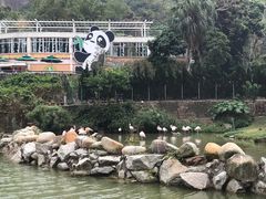 -石排湾郊野公园
