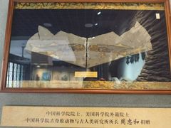 -新四军黄桥战役纪念馆(新馆)