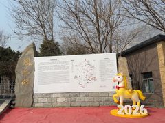 -北京凤凰岭