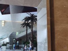 -常州环球恐龙城维景国际大酒店