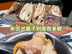 -芸山季·云南山珍菌火锅(人民广场来福士店)