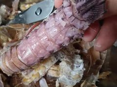 虾爬子-鑫福隆生鲜超市(沈营大街店)