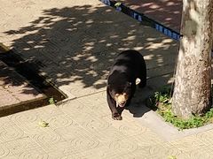-西霞口神雕山野生动物世界