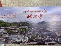 -塔尔寺