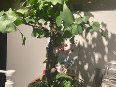 -La Strada(安福路店)