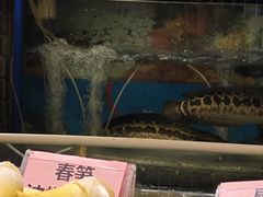 -南方酒店·淮扬菜(回民街店)