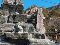 -大岭沟猕猴桃谷风景区