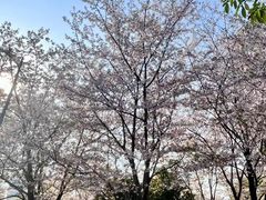 -堤角公园