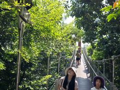 -新加坡飞禽公园