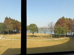 -溱湖国家湿地公园