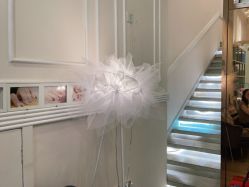 -MIDA蜜哒•科技逆龄美肤连锁